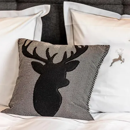 Unique Alpic Style In The Heart Of Davos