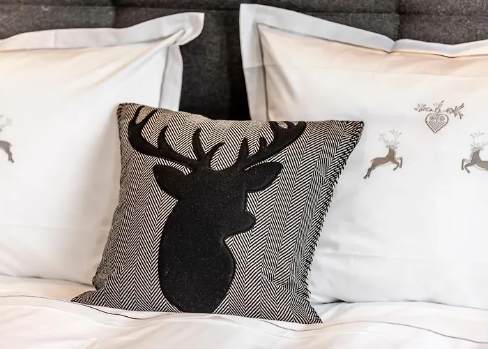 Unique Alpic Style In The Heart Of Davos